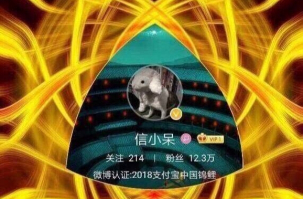 信小呆锦鲤附体 锦鲤附体的经历 只有努力的得来的幸运才是最好的
