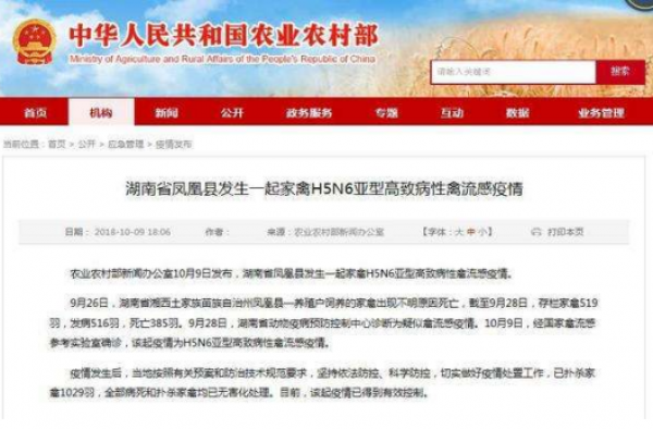 湖南凤凰禽流感已确诊 亏损较大 但疫情得到控制