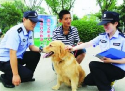 最严遛狗规定是怎么回事？早起贪黑遛狗是否合理？