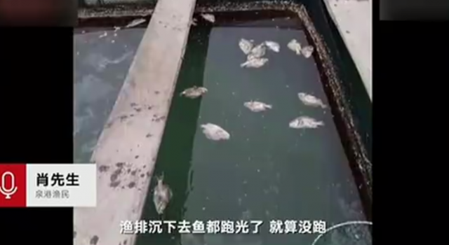 碳九泄露事故认定怎么回事？涉事人员如何处置？