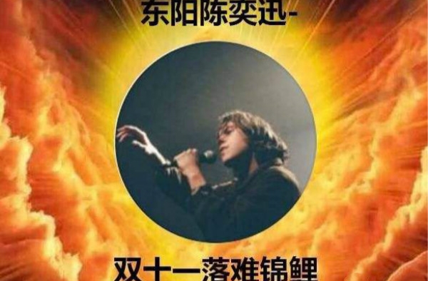 因没晒图而错过菜鸟网络的双十一大奖！成“落难锦鲤”