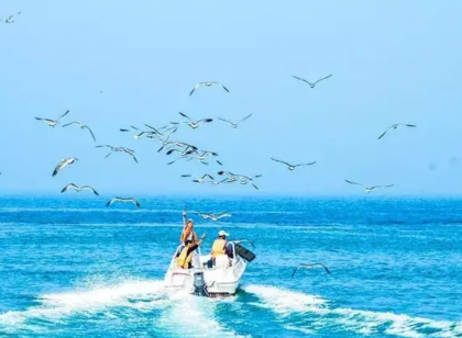威海自驾游旅行攻略 2019年一定要去威海做的事情你都知道吗？