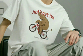 ڼСʵϵ ӡt