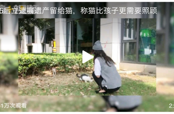 95后立遗嘱财产留给猫 律师告知不可行 网友：脑子有病