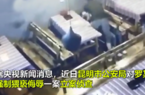 人民日报再评李心草案 请相信一株小草的倔强