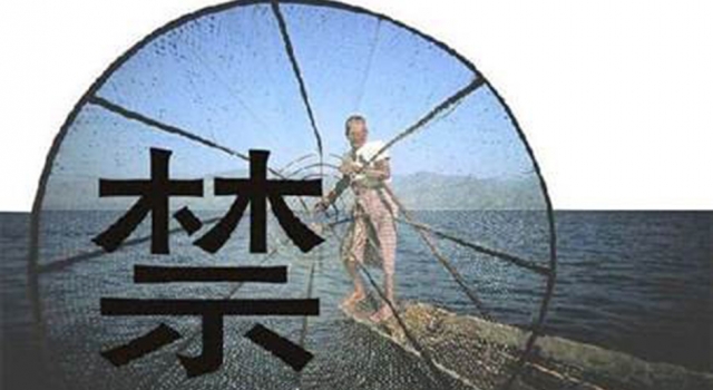长江十年禁渔 让其休养生息 网友：鱼不会涨价吧