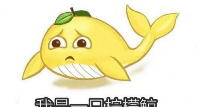 朋友圈的一些沙雕说说 这些句子笑到大脑缺氧c
