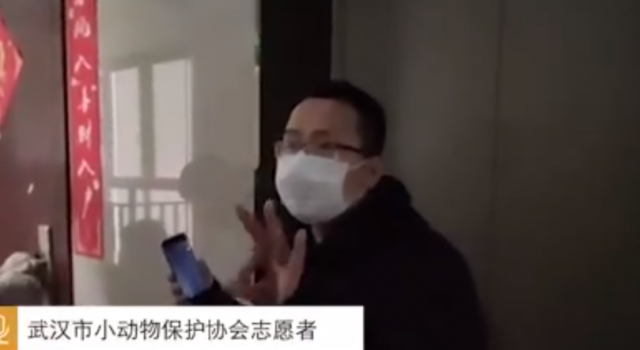 武汉家中滞留宠物救援 太有爱了 真的被暖到了