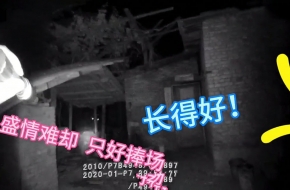 民警送醉汉回家被邀参观新生猪仔 求民警心里阴影面积