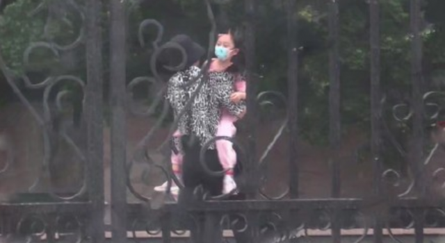 贾乃亮李小璐陪甜馨玩耍 轻松自然 网友：这是要复合