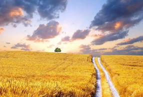 ������������߾�����¼ ����֪����һ��������ֱ������