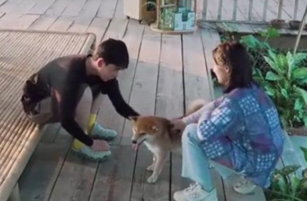 嗑到了胡先煦张子枫 给H挠痒画面温馨 网友却这样评论