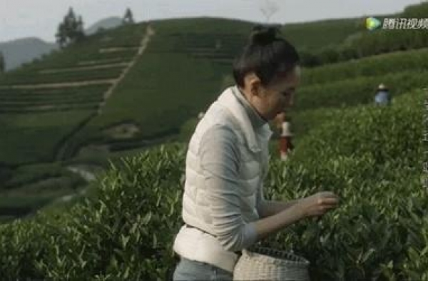 “30+”姐姐们，离幸福有多远