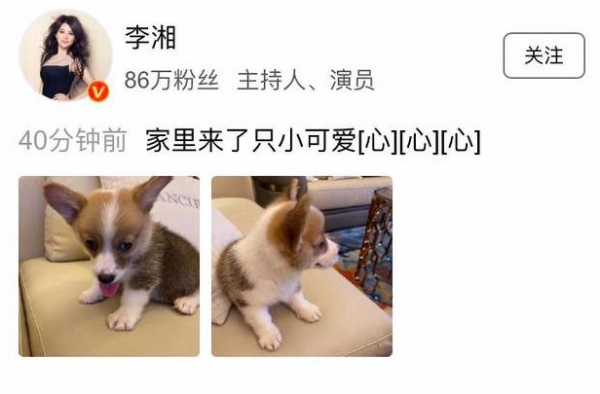 “主持一姐”李湘，怎么把自己炮制成油腻炫富的“彪悍贵妇”的？