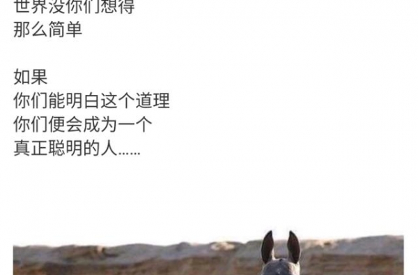 53岁周立波公开骂人，言语犀利极其生气，疑似与唐爽再度开战