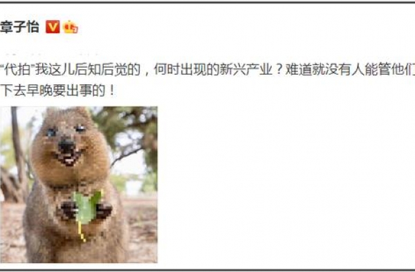 深扒娱乐圈“代拍”：蹲守居民楼都是日常，偷拍裙底最为下作