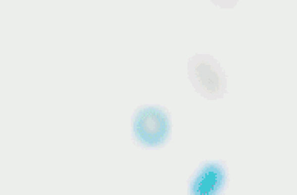我为什么不喜欢《信条》