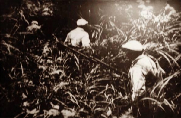 电影《英雄虎胆》与广西剿匪