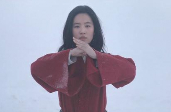 《花木兰》全球票房达3760万美元，中国内地贡献最多