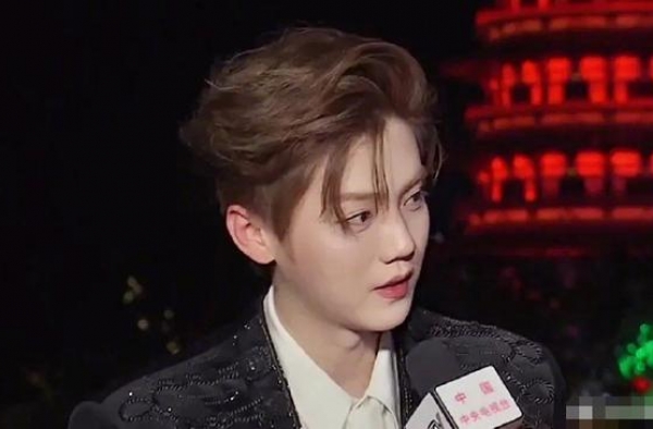 央视镜头下的鹿晗帅到模糊？靠粉丝吹捧出来的颜值终究抵不过杠精