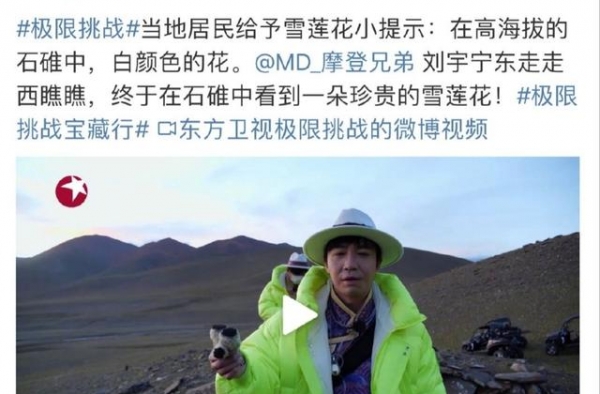 《极限挑战》刘宇宁摘雪莲花引争议，官微评论区一片骂声！