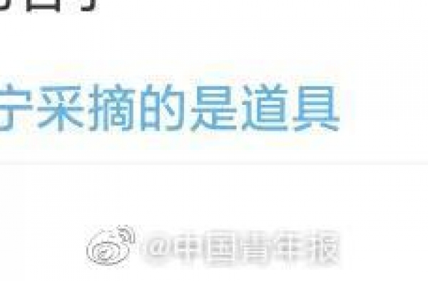 极限挑战回应遭质疑，网友：心疼“道具”