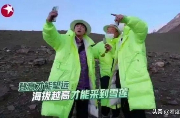 《极限挑战》采摘濒危珍稀植物，别挑战大众底线
