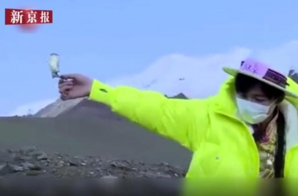 综艺节目嘉宾被质疑采摘濒危植物，辩称是道具遭植物专家反驳