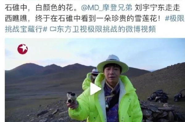 明星急需恶补常识，否则“采摘国家二级濒危植物”的乌龙还会上演