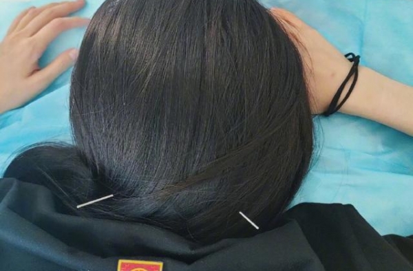 杨幂爱宠因打闹“破相”，父亲发文调侃，曝光家中一角真干净