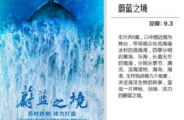 9部和假期最配的高分纪录片