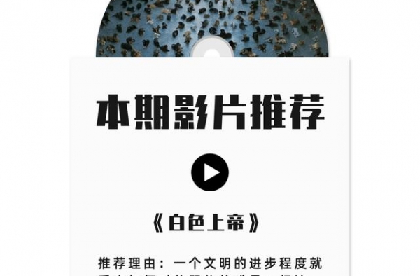 274只流浪狗报复人类捍卫主权 你好好对待自己的宠物了么？