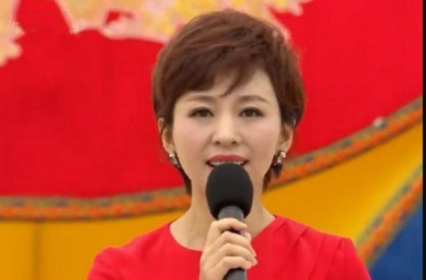 陪伴《新闻联播》9年的欧阳夏丹，笑容留给观众，心酸留给自己