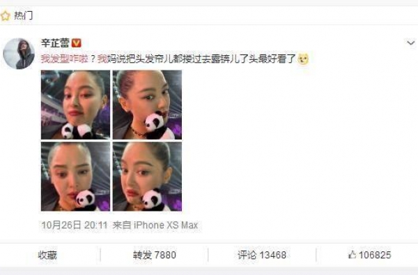 辛芷蕾：我发型咋啦？网友：这发型考验颜值……