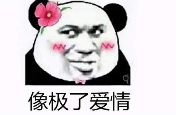 别洗了，这点体面都快作没了