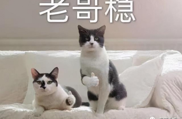 还能演多少年傻白甜？