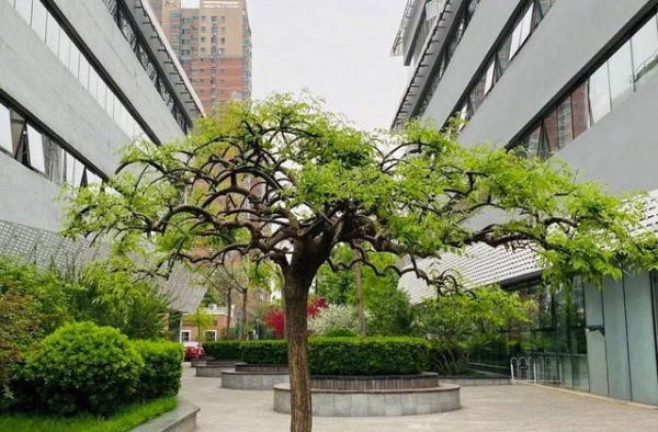“商业鬼才”任泉，弃艺从商当老板，坐拥豪华办公区堪比霸道总裁