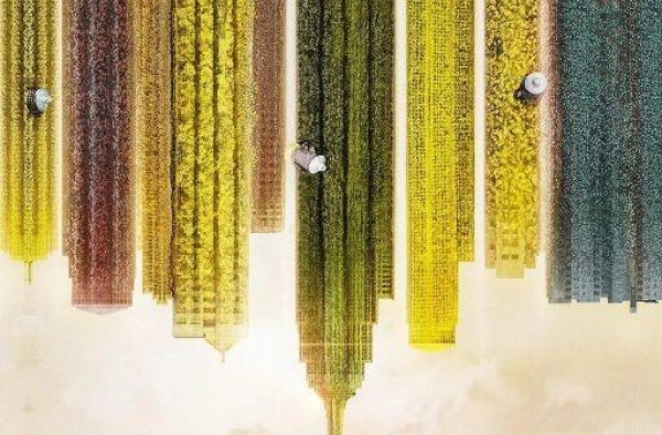 这是什么神仙电视剧？三大卫视联合播出，湖南、北京卫视跟播