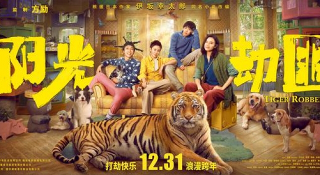奇幻片《阳光劫匪》定档12月31日，马丽宋佳与东北虎玩大冒险