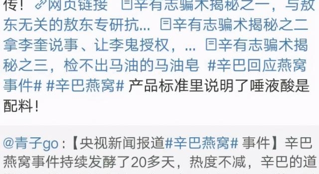 王海不接受辛巴道歉，称虚假宣传不是夸大宣传，并控诉其涉嫌诈骗