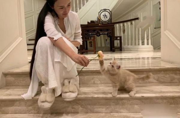张纪中娇妻秀豪宅奢华如酒店，衣着太大胆！没扣钮扣领口全敞开