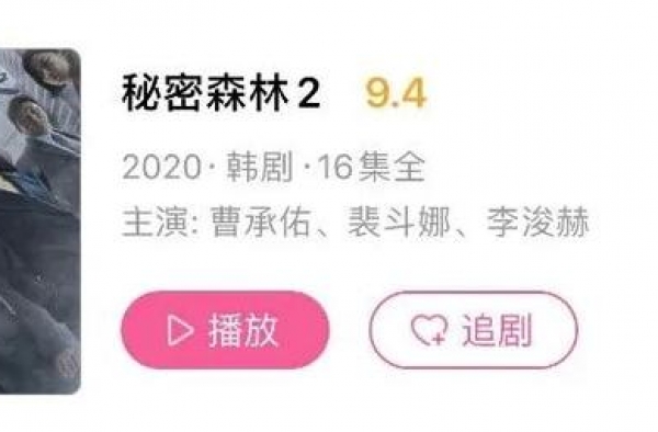 韩剧女主人手一件？裴斗娜的皮质大衣包揽了整个韩圈