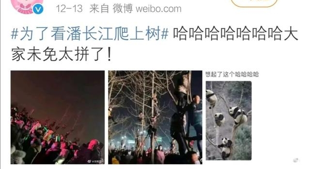 这些勇闯二次元的老艺术家，你真心惹不起