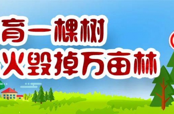 集结完毕！五莲县少儿春节联欢会小主持人确定啦！