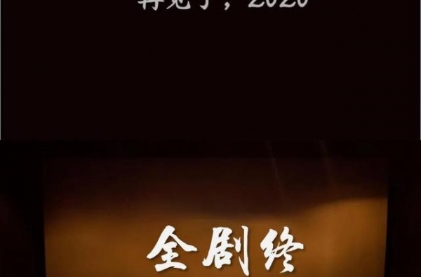 《2020》即将谢幕！感谢你倾情主演
