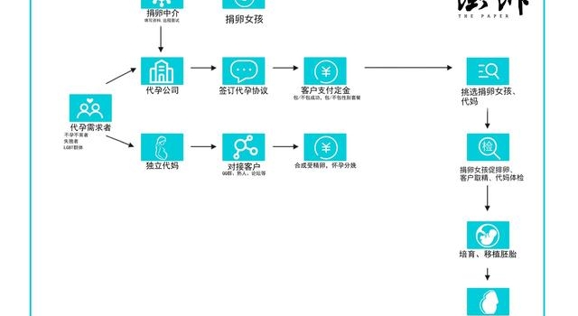 代孕“弃养”风波：郑爽张恒为何能“钻法律空子”？