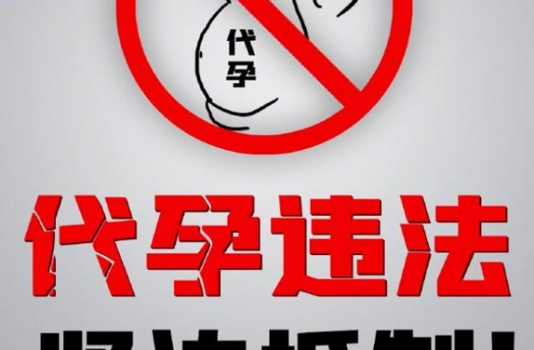 中央政法委批“郑爽代孕弃养”：贻害世风，这绝不是无辜