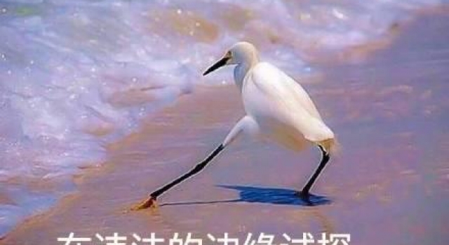 长安剑评郑爽代孕弃养风波：钻法律空子，绝不是无辜