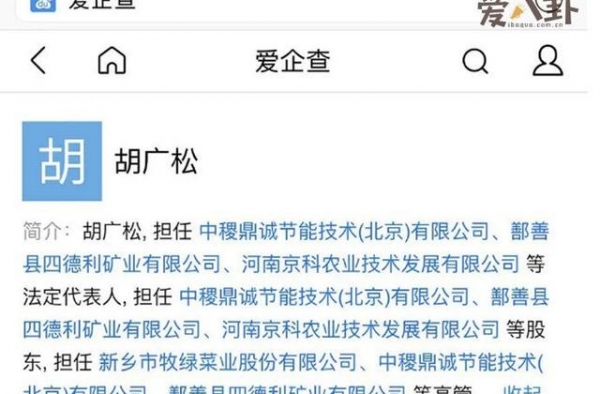 郑爽金主胡广松是谁？胡广松个人资料起底背景这么强
