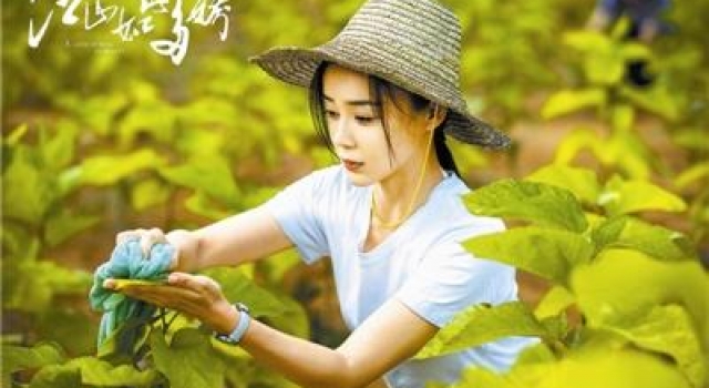 袁姗姗：和角色一起成长